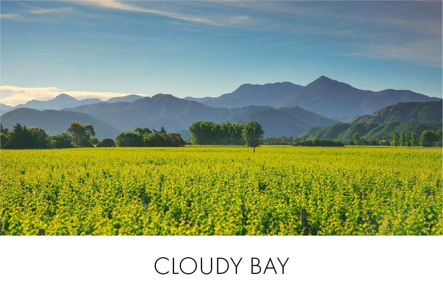 Cloudy Bay