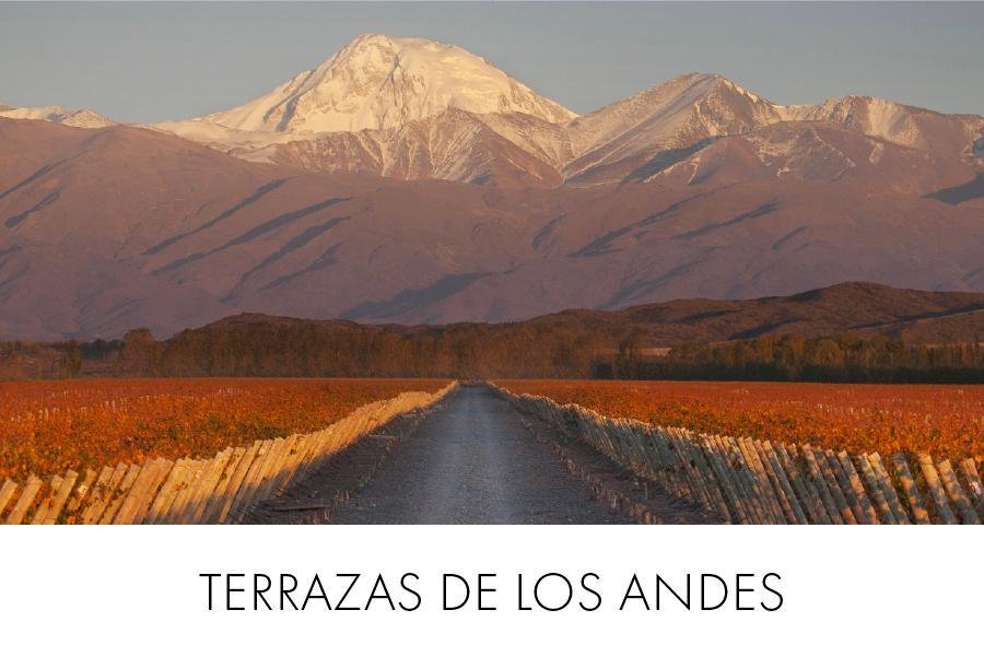 Terrazas de los Andes